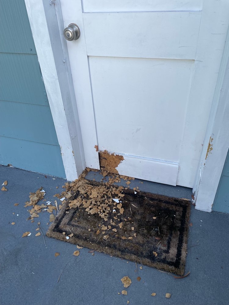 Coast 2 Bay Inspections & Services - mold inspector in Tampa Bay, FL