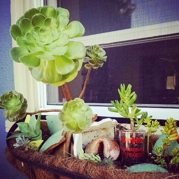 The Garden Home - The succulents I bought are healthy, beautiful, and made up into a cute arrangement! - Home Decor Near Me The Garden Home - The succulents I bought are healthy, beautiful, and made up into a cute arrangement! - Home Decor Near Me