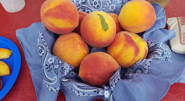 Brookhaven Farmers Market by null