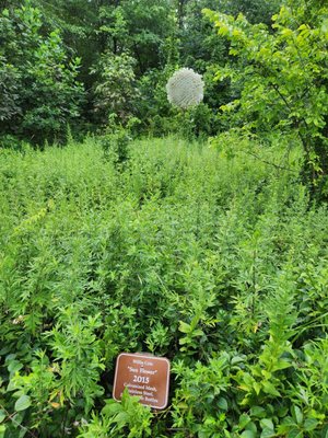 South Mountain Reservation by null