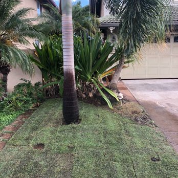 Hawaii Scenescape - COMPLETED  (photo 2) - Landscaping Near Me