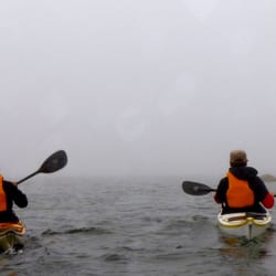 Driftwood Kayak
