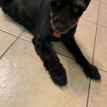 Pet Crazy - Pet Services Near Me - Byram, Mississippi