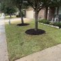 JIT Landscape and Design