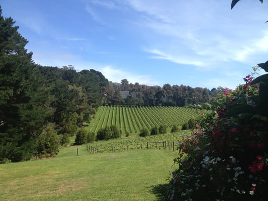 Foxeys Hangout by null