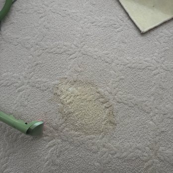 Walnut Creek Carpet Care - Carpet Cleaning Near Me - Walnut Creek, California Walnut Creek Carpet Care - Carpet Cleaning Near Me - Walnut Creek, California