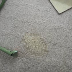 Walnut Creek Carpet Care