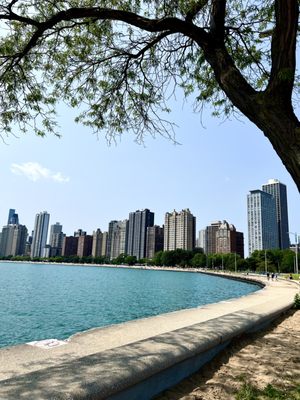 North Avenue Beach by null