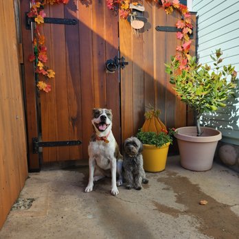 SpringWood Building and Carpentry - Love our entry gate! - Decks & Railing Near Me SpringWood Building and Carpentry - Love our entry gate! - Decks & Railing Near Me