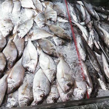 183 FISH MARKET - Updated November 2025 - 7 W 183rd St, Bronx, New