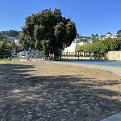 Field/tennis courts