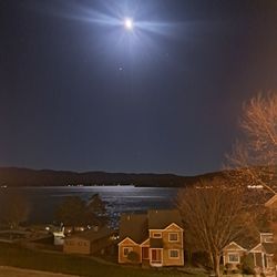 Shepard's At Erlowest