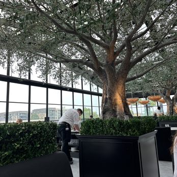 RH Rooftop Restaurant at RH Dallas - American Near Me - Dallas, Texas
