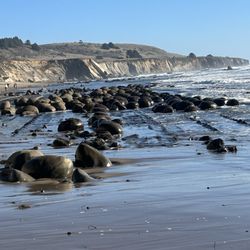 Bowling Ball Beach