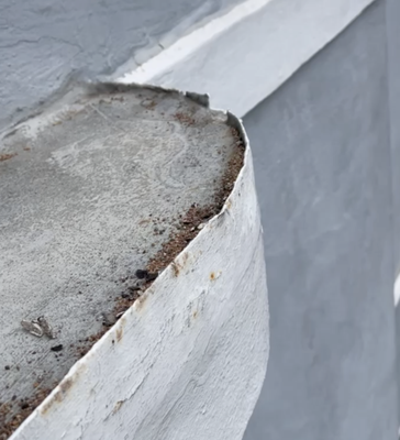 The Last Detail Roofing