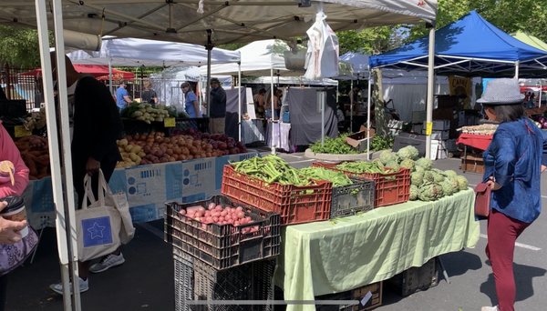Campbell Farmer's Market by null