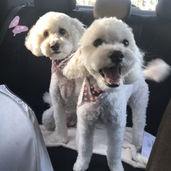 Johnny's Doghouse - Pet Groomers Near Me - Tempe, Arizona