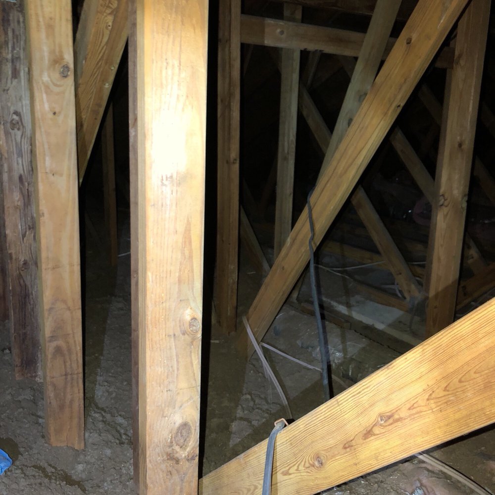 Rapid Mold Removal - Insulation that was supposed to be removed and paid for but never done! - Environmental Abatement Near Me Rapid Mold Removal - Insulation that was supposed to be removed and paid for but never done! - Environmental Abatement Near Me