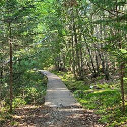 Petit Manan Wildlife Refuge - One of the boardwalks