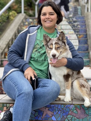 16th Avenue Tiled Steps by null