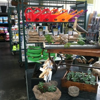 Bowood Farms - Beautiful interior with colorful accessories and tropical plants of all types. - Nurseries & Gardening Near Me - Saint Louis, Missouri Bowood Farms - Beautiful interior with colorful accessories and tropical plants of all types. - Nurseries & Gardening Near Me - Saint Louis, Missouri