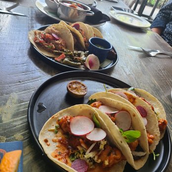 Caracol - Seafood Near Me - Houston, Texas Caracol - Seafood Near Me - Houston, Texas