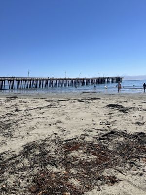 Cayucos Pier by null