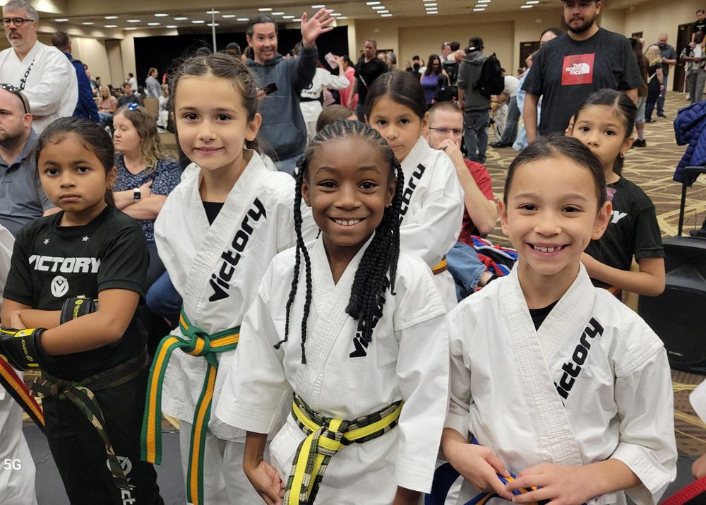 Victory Martial Arts Logo