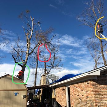 Florida Tree & Ground Maintenance - Green circle roof top, red circle 75' plus, yellow circle 58' - Tree Services Near Me - Punta Gorda, Florida Florida Tree & Ground Maintenance - Green circle roof top, red circle 75' plus, yellow circle 58' - Tree Services Near Me - Punta Gorda, Florida