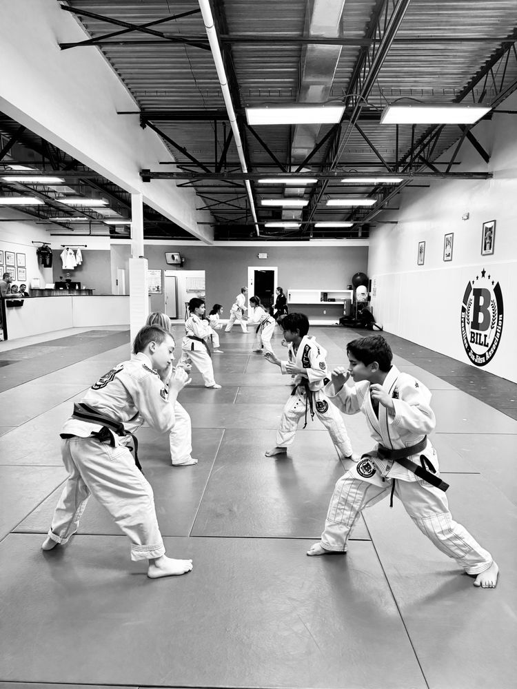 Bill Brazilian Jiu-Jitsu Association Logo