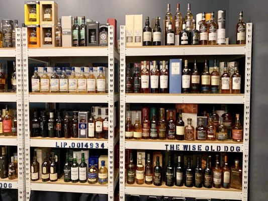 The Wise Old Dog by null