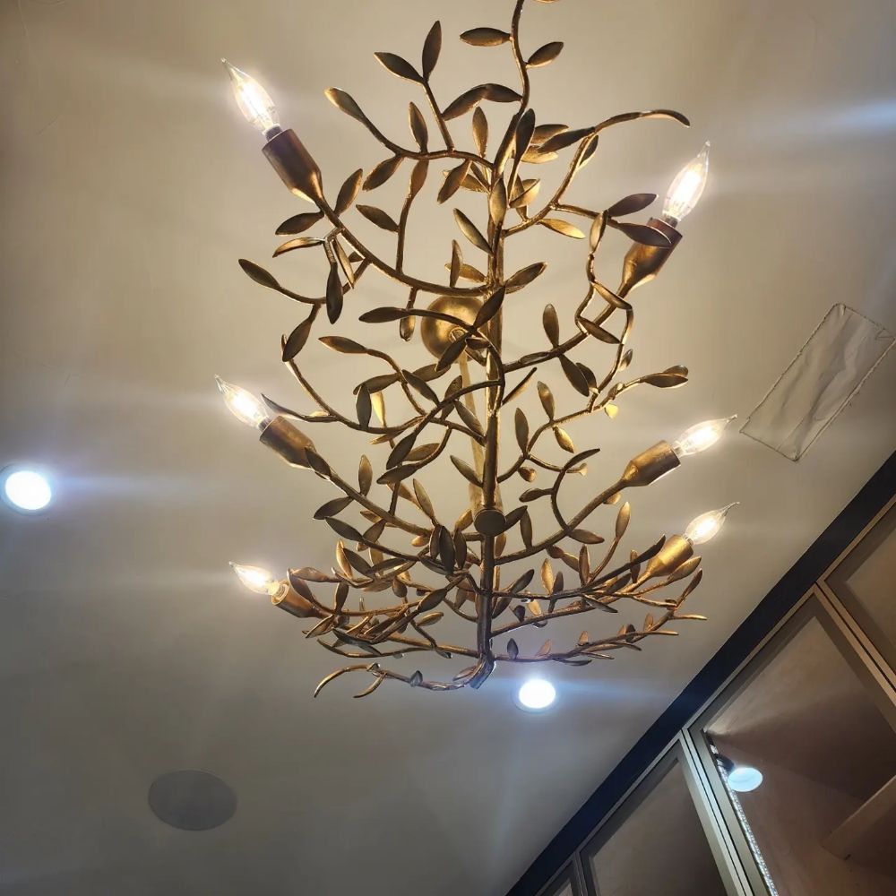 Slide of Power and Lighting Service