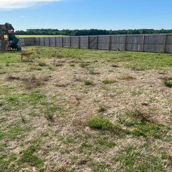 TDI Services - Pest Control Near Me - Madison, Alabama