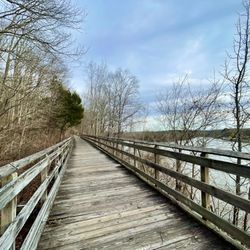 Cumberland River Bicentennial Trail - Walking Trail