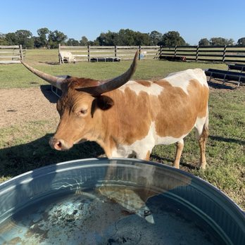 Triple N Ranch Winery - Wineries Near Me - Trinidad, Texas Triple N Ranch Winery - Wineries Near Me - Trinidad, Texas