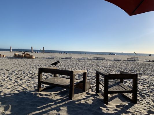 Beach + Taco Shack by null