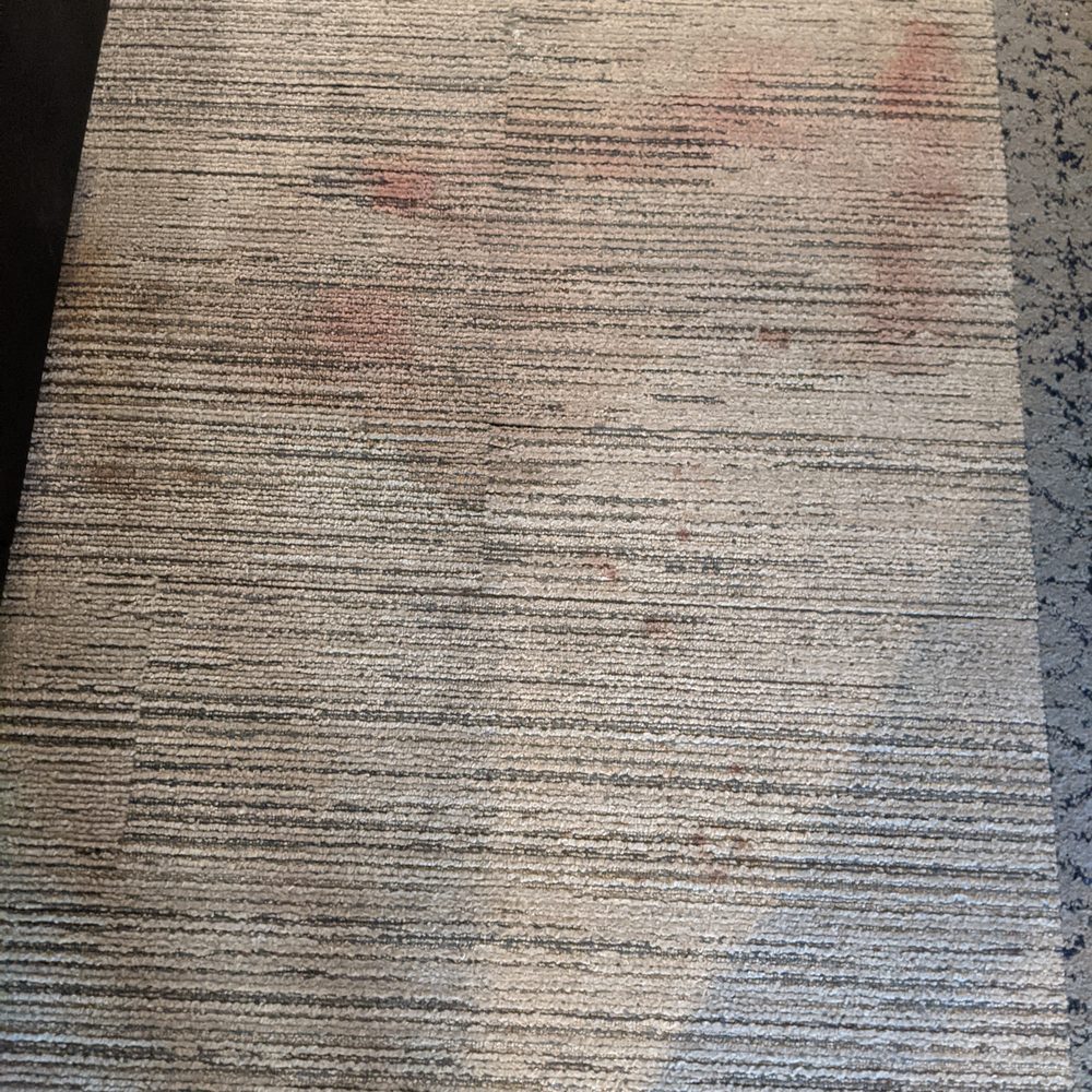 Hilton Garden Inn Jackson - Blood at foot of the bed. - Hotels Near Me - Jackson, Tennessee Hilton Garden Inn Jackson - Blood at foot of the bed. - Hotels Near Me - Jackson, Tennessee