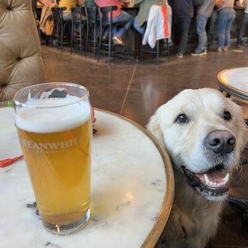 MEANWHILE BREWING - Updated February 2026 - 580 Photos & 333 Reviews ...