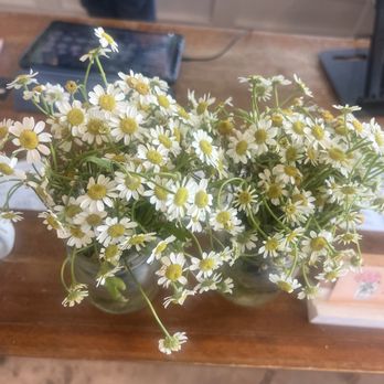 Ruthie's All-Day - Beautiful little flowers at the front desk - Barbeque Near Me - Arlington, Virginia Ruthie's All-Day - Beautiful little flowers at the front desk - Barbeque Near Me - Arlington, Virginia