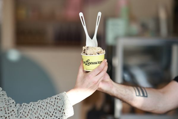 Van Leeuwen Ice Cream by null