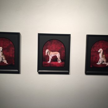 Catherine Edelman Gallery - Regal isn't it? - Art Galleries Near Me - Chicago, Illinois