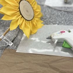 Algonquin Area Public Library District - Main Library - August Drop-in Craft!!