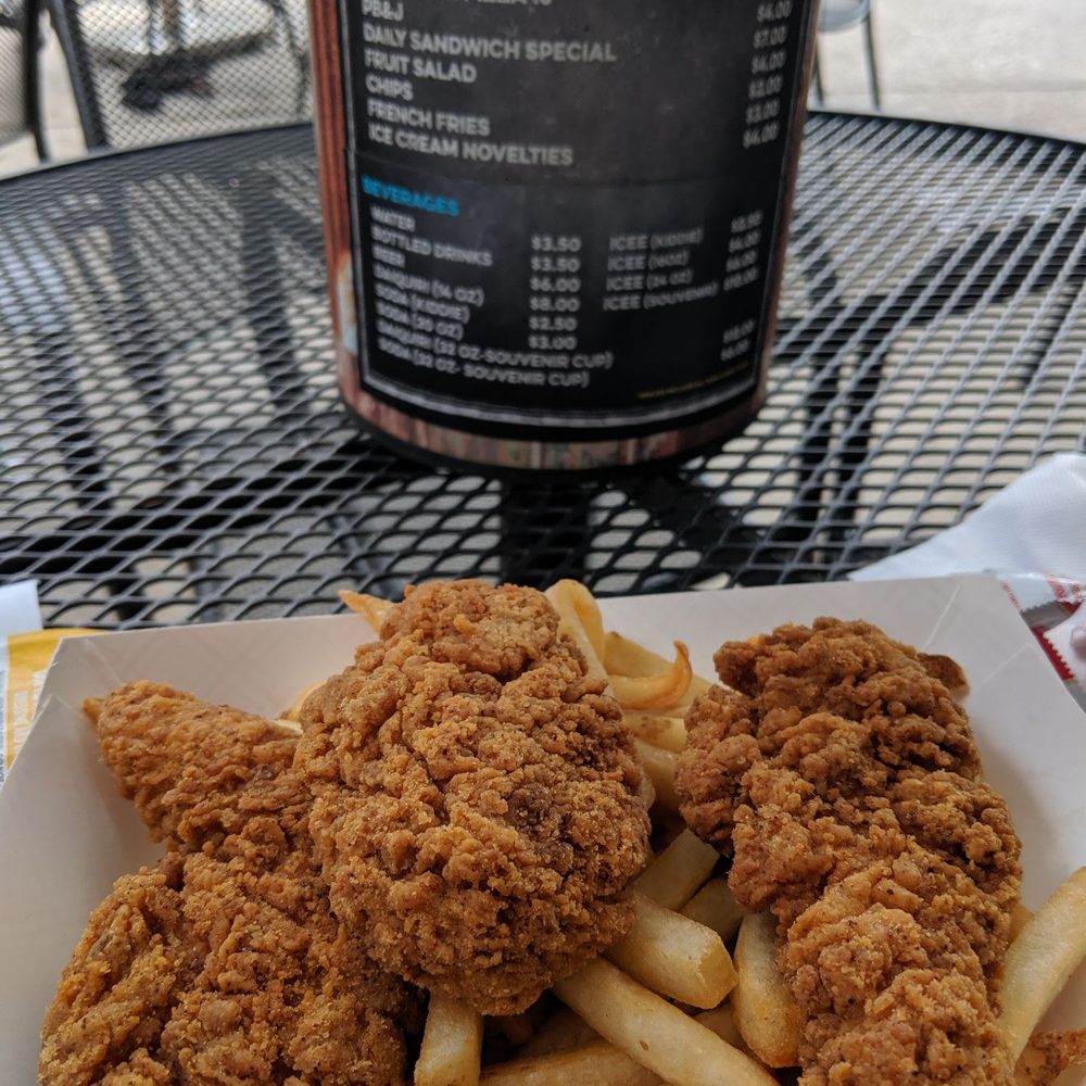 Cool Zoo - Chicken Strip with fries - Swimming Pools Near Me - New Orleans, Louisiana