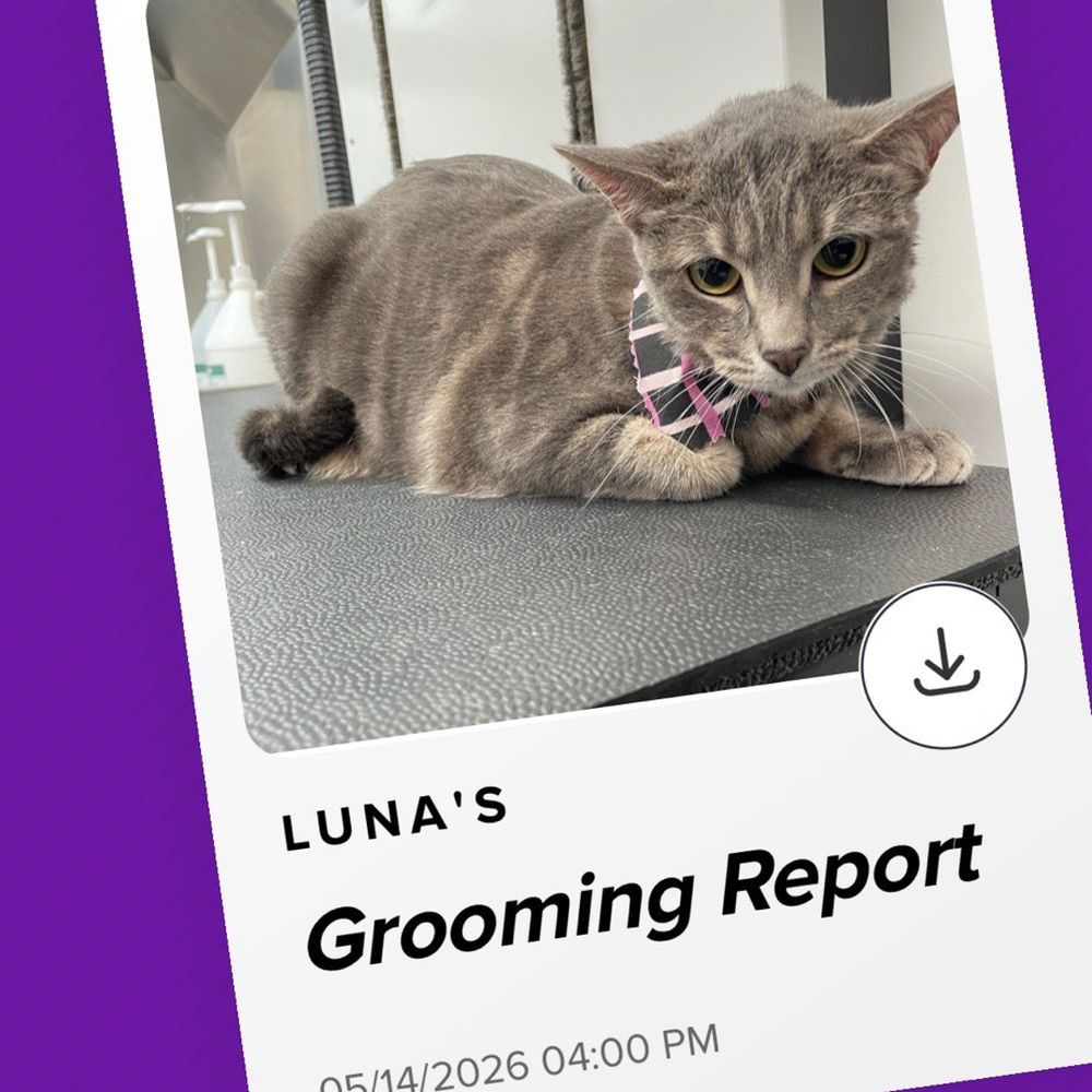 Vanity Fur - Pet Groomers Near Me