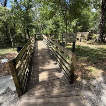 Lettuce Lake Park - Parks Near Me - Tampa, Florida
