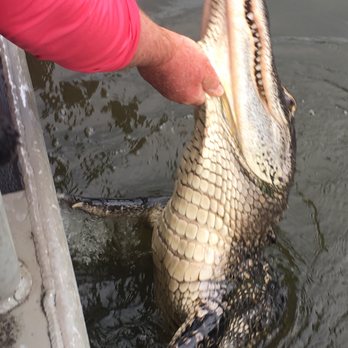 Ultimate Swamp Adventures - Tours Near Me - Westwego, Louisiana Ultimate Swamp Adventures - Tours Near Me - Westwego, Louisiana