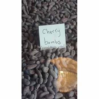 Olive and Sinclair Chocolate - Chocolatiers & Shops Near Me - Nashville, Tennessee