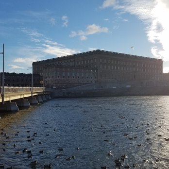 Stockholms stad - The ducks seem like model Swedish citizens - Public Services & Government Near Me - Stockholm, Alberta