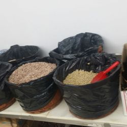La Fiesta Mexican Produce Market - The bulk beans
