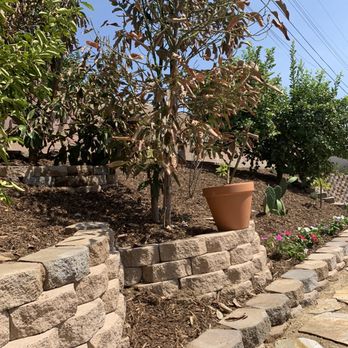 Rodriguez Landscaping - Retaining wall blocks around trees - Gardeners Near Me Rodriguez Landscaping - Retaining wall blocks around trees - Gardeners Near Me